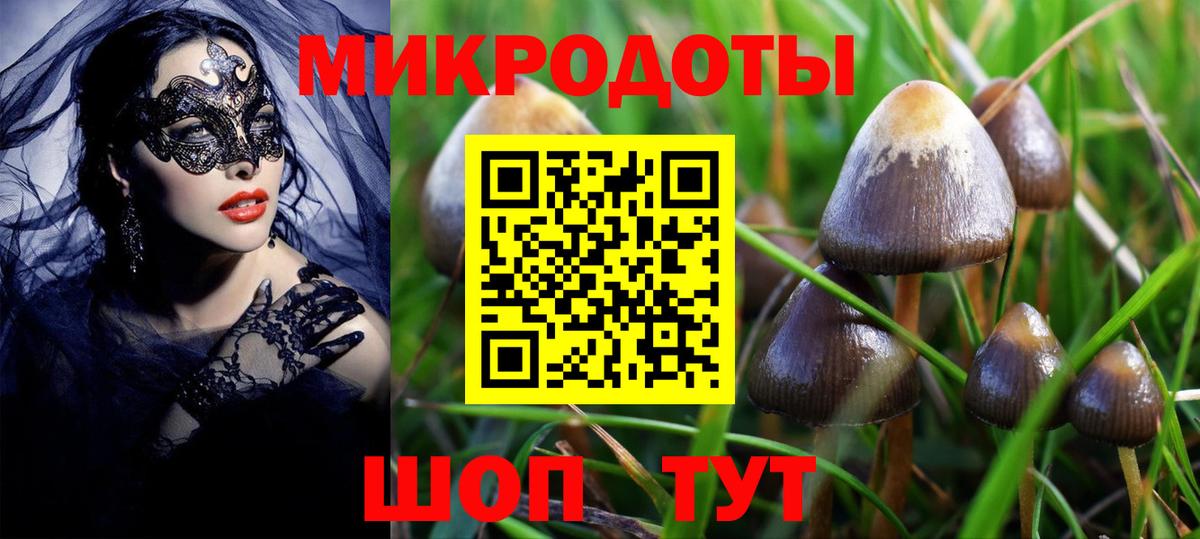 МАРИХУАНА Приморско-Ахтарск