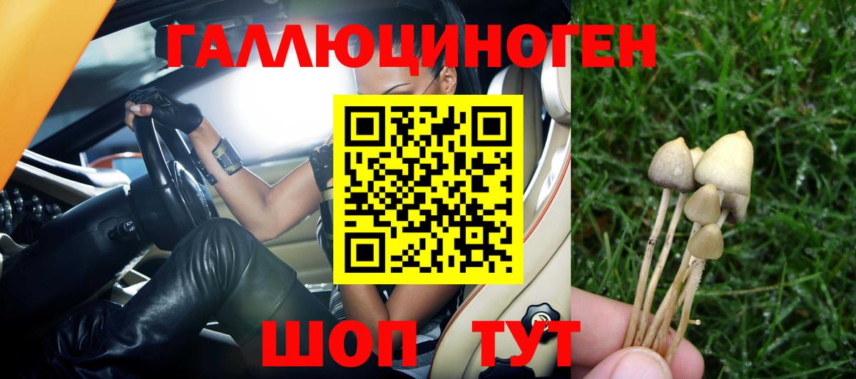 Псилоцибиновые грибы MAGIC MUSHROOMS Приморско-Ахтарск